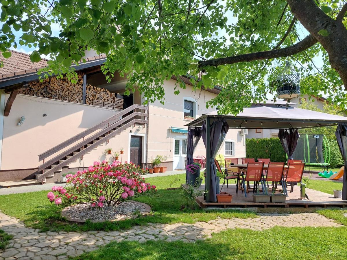 צרקליה נה גורניסקם Studio Apartma Zirovnik מראה חיצוני תמונה