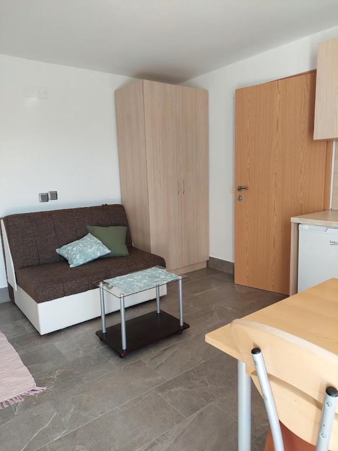צרקליה נה גורניסקם Studio Apartma Zirovnik מראה חיצוני תמונה